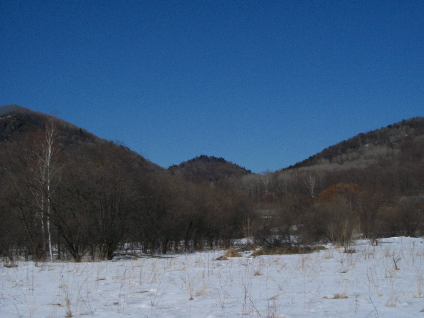 100_1053.JPG