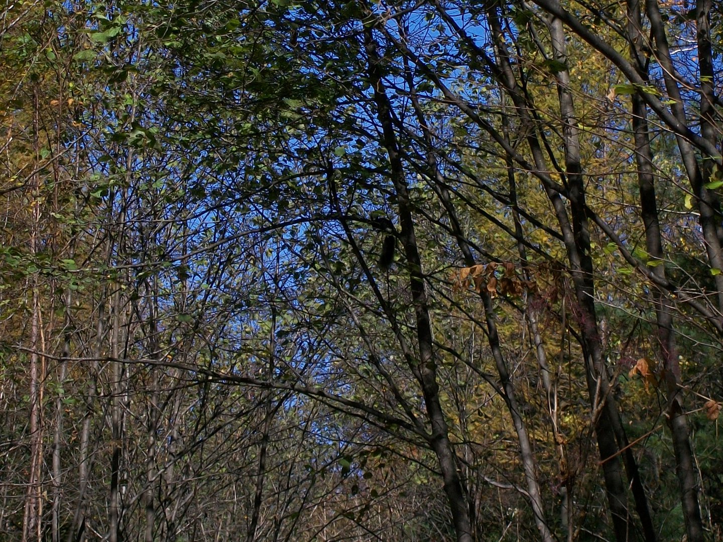 100_1564.JPG