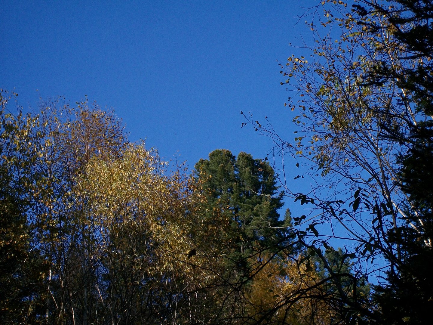 100_1569.JPG