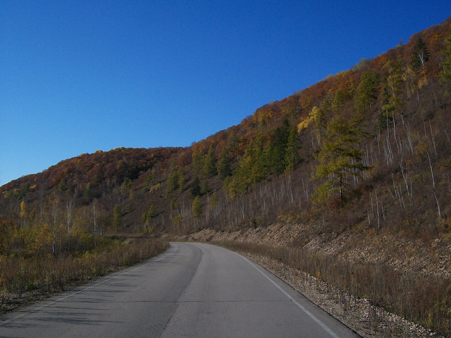 100_1574.JPG