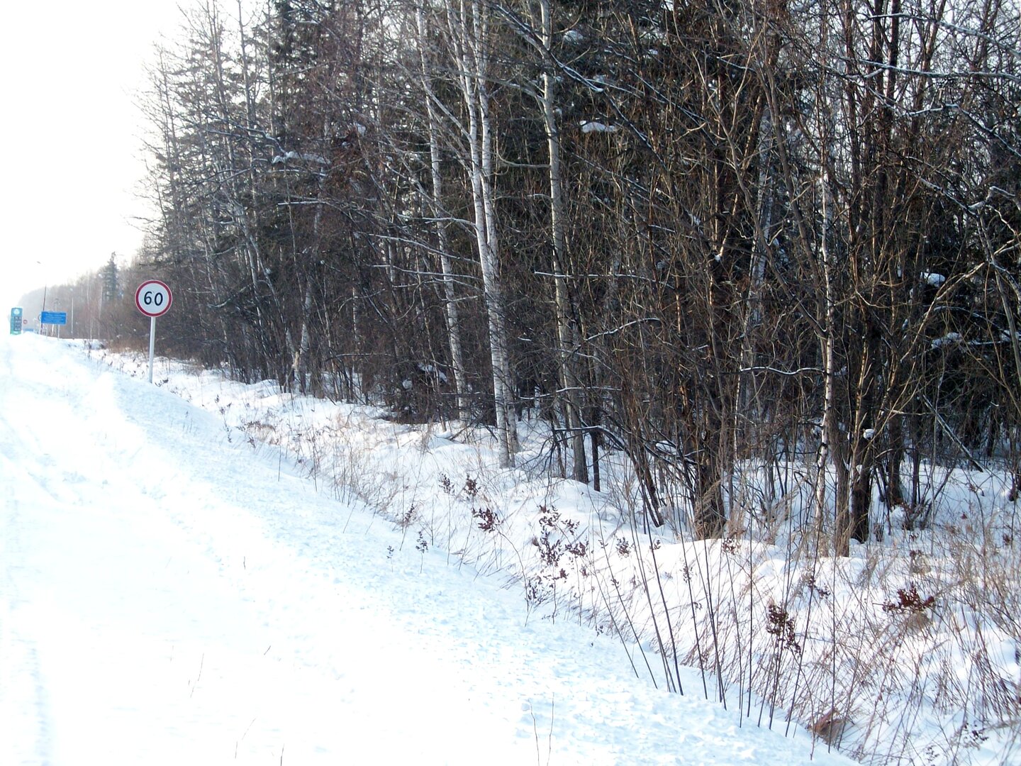 100_2775.JPG