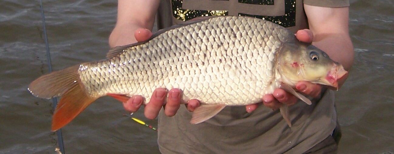 100_2924_1.jpg