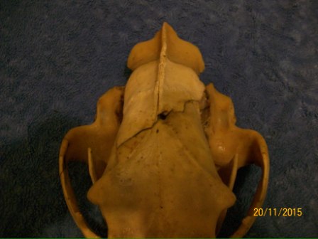100_7445.JPG