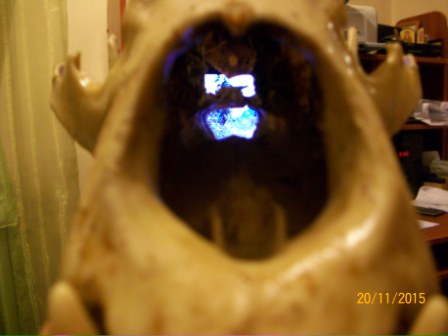 100_7446.JPG
