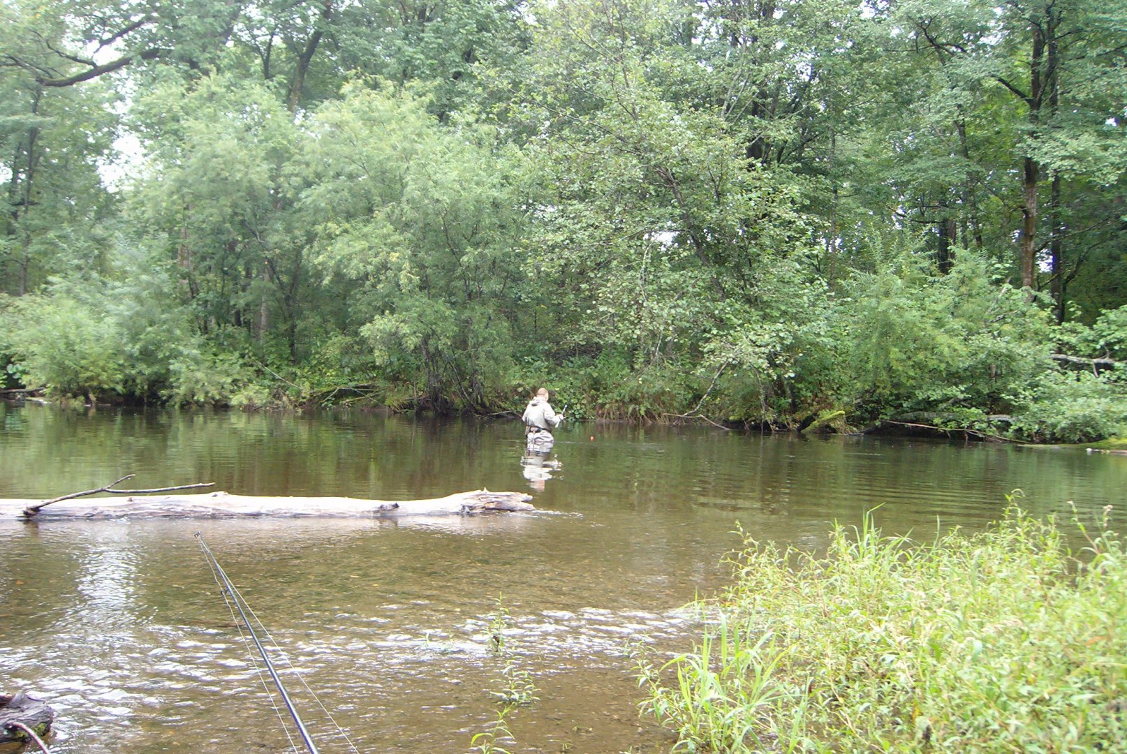 100B1426.JPG