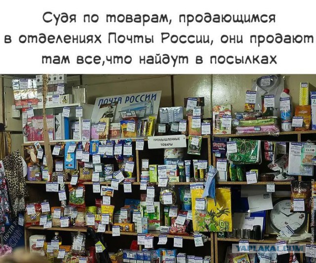 10236204.jpg