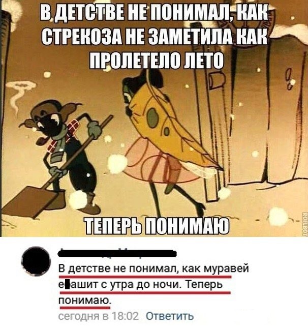 10285311.jpg