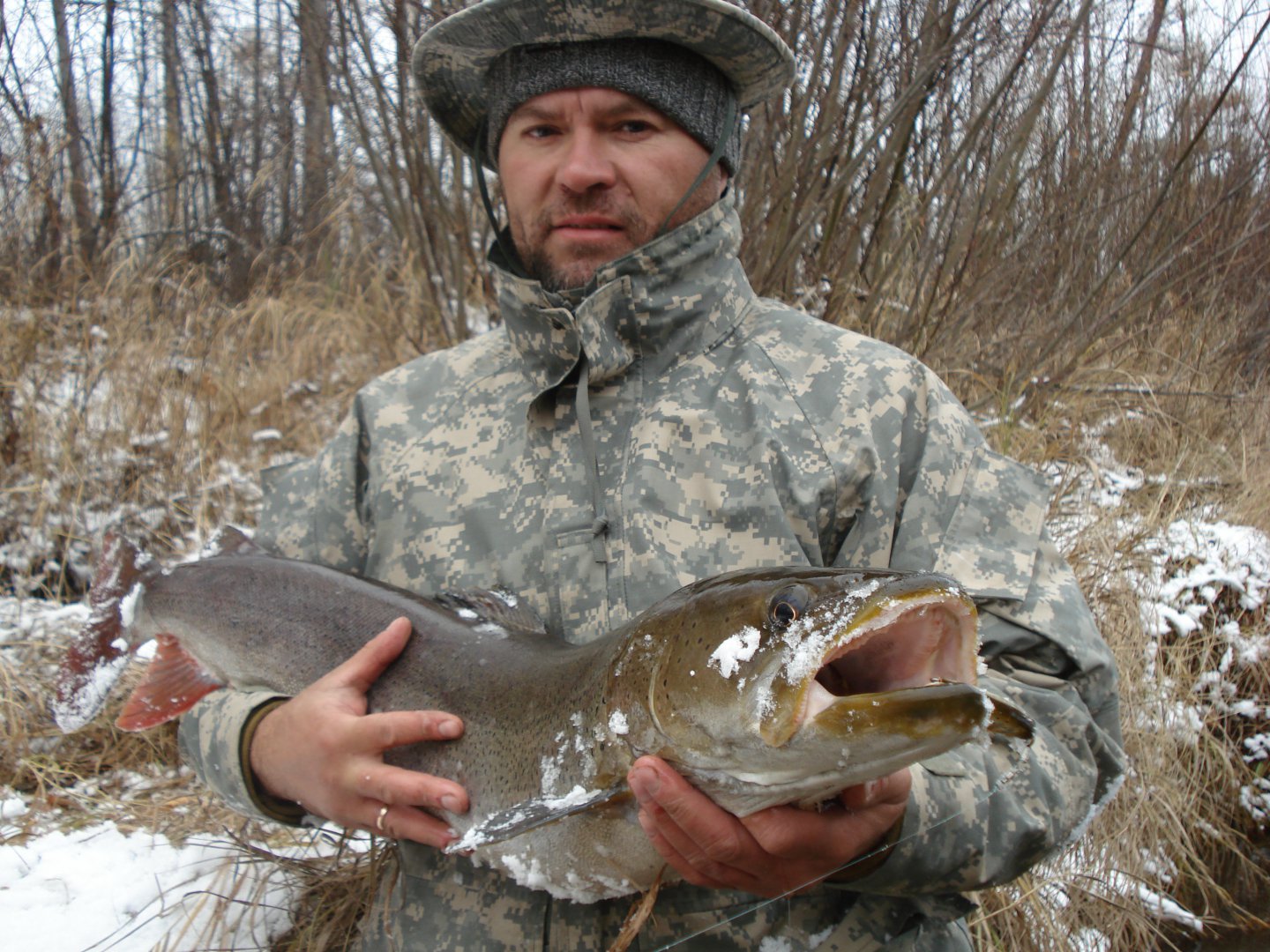 105.JPG