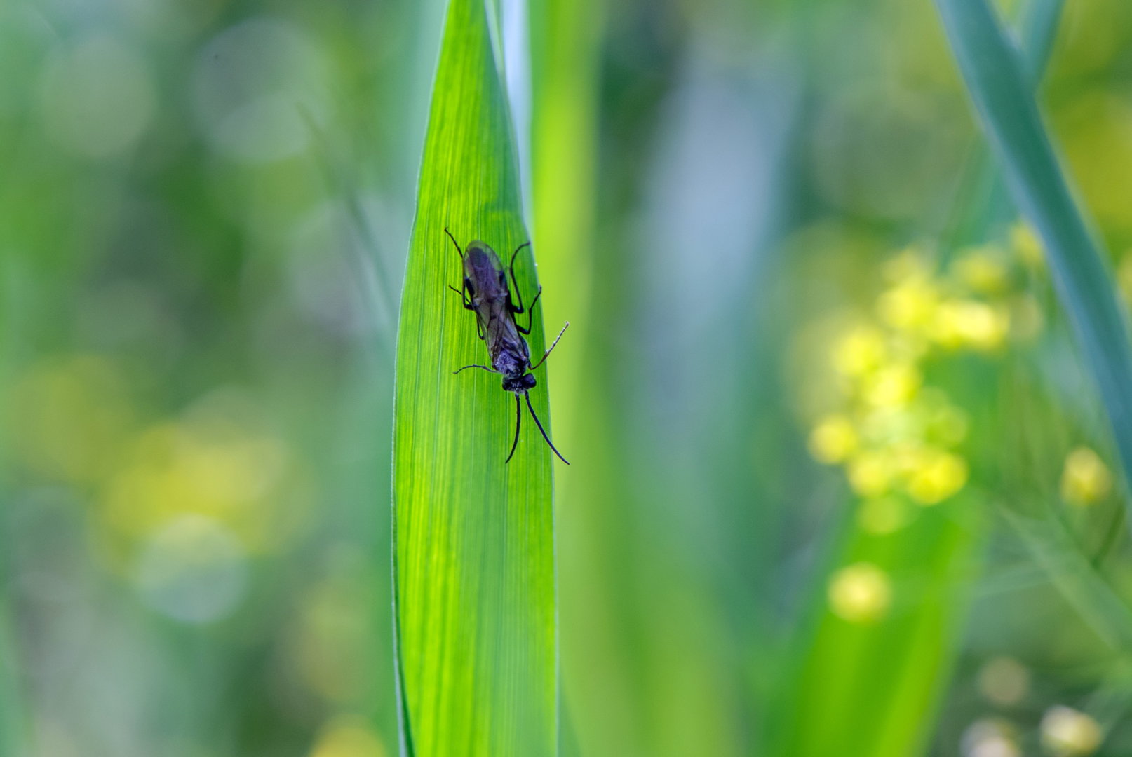1055DSC_7658.jpg