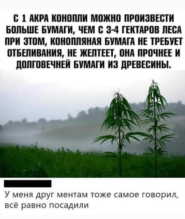 1066C60C-4489-422D-9C4E-FE49CC0F1859.jpeg