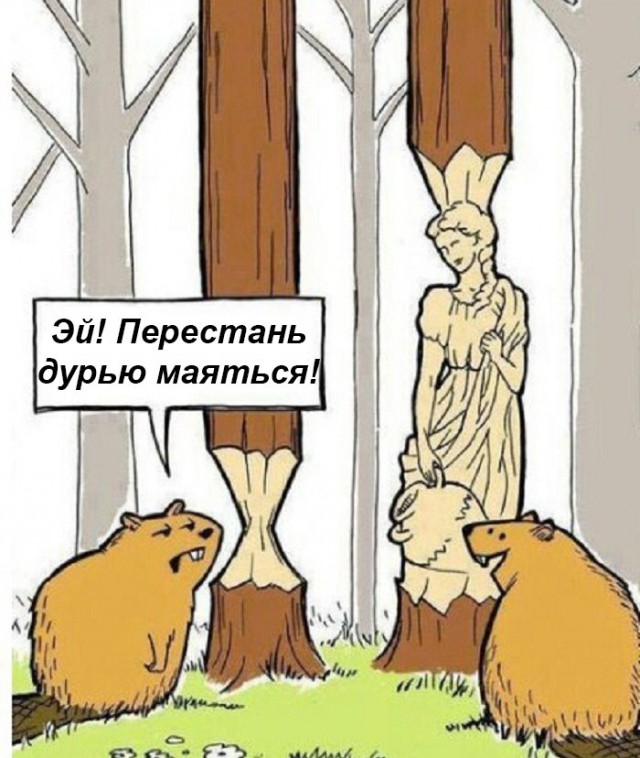 10746220.jpg