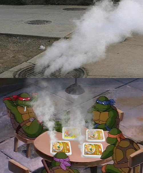 10814884.jpg