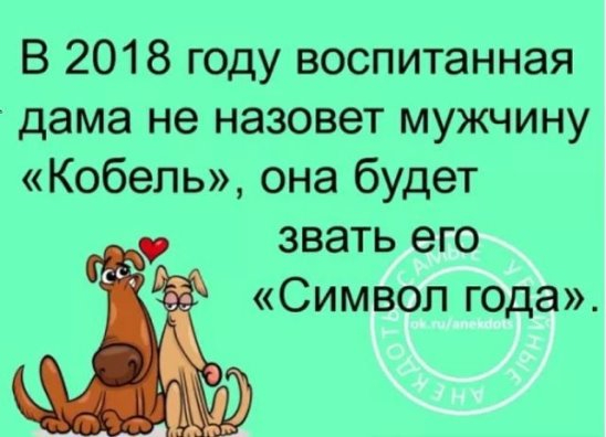 10820973.jpg