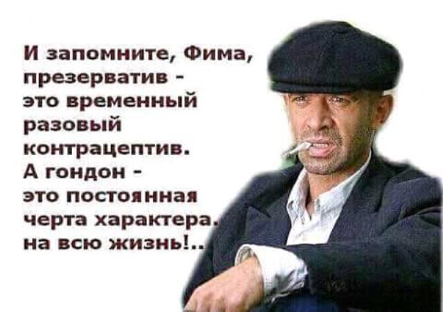 11074630.jpg