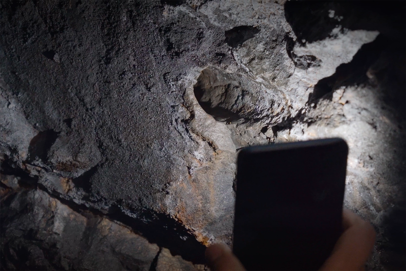 111 ДНЕЙ ЗА КОРМОЙ 4К.00_05_03_00.Still001.png