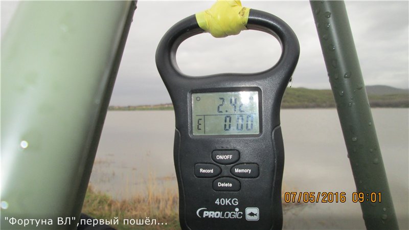 111.jpg