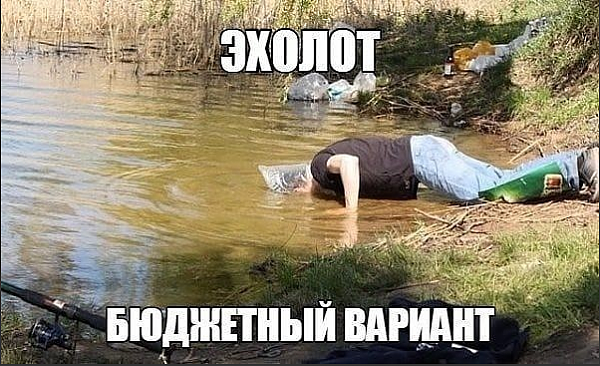 11111111.PNG