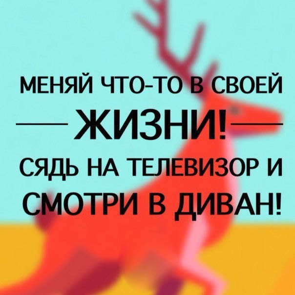 11474391.jpg