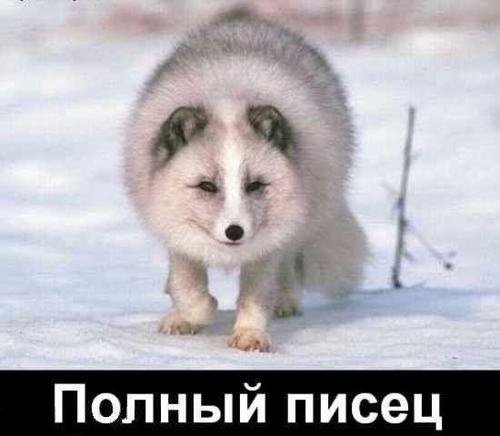 114916.jpg