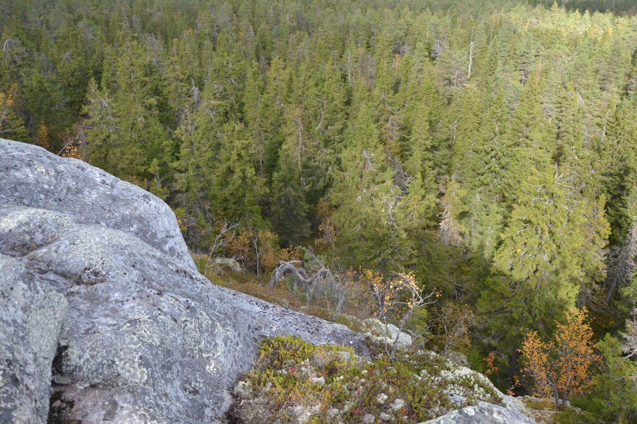 117.jpg