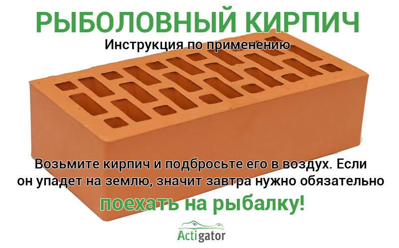 11988385_533987153422320_3180000942407431289_n[1].jpg