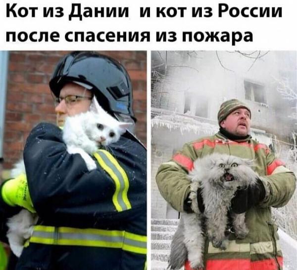 12096024.jpg