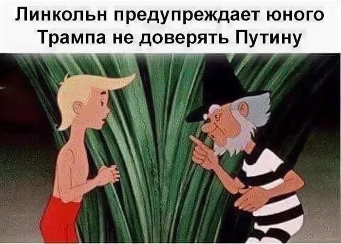 12198068.jpg