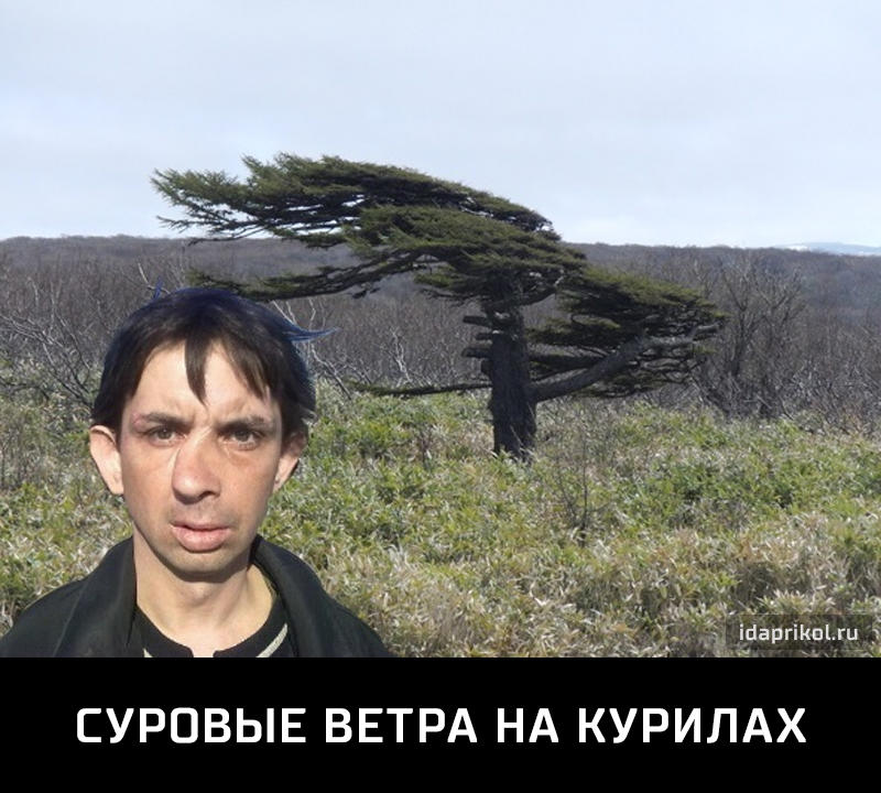 123.jpg