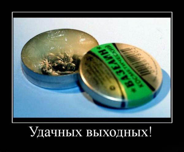 1254767136_1254217041_1253874672_380276_udachnyih-vyihodnyih.jpg