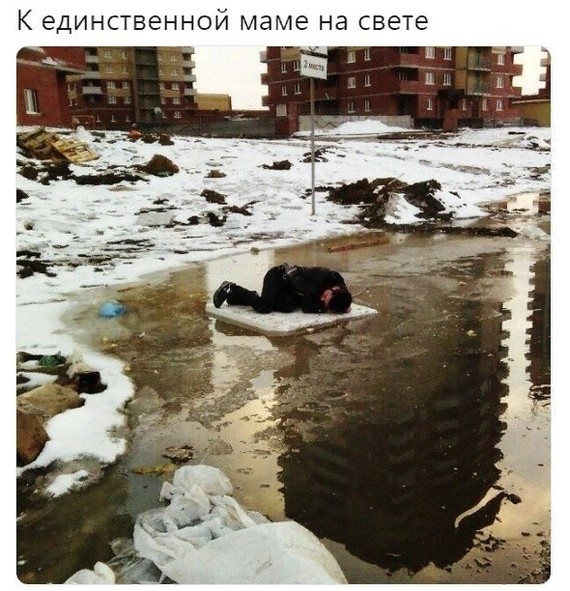 12690483.jpg