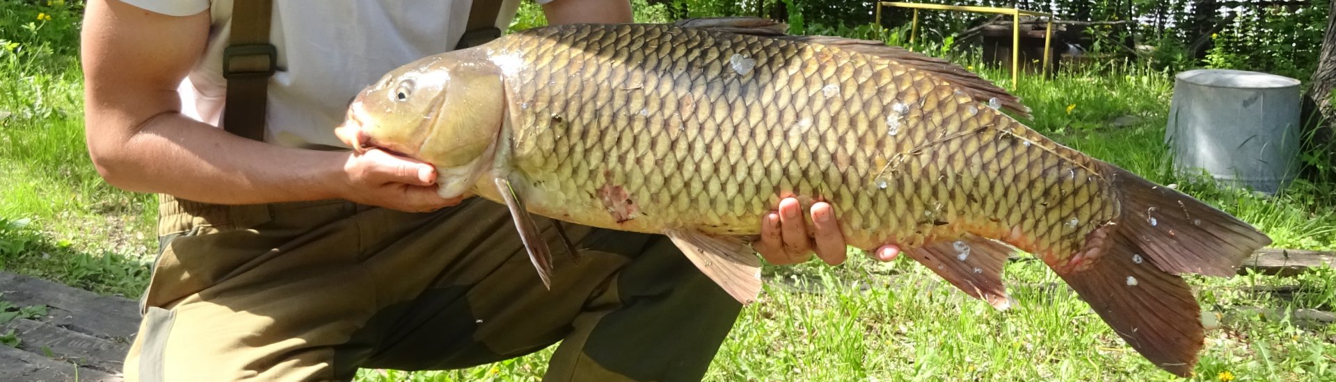 127.jpg