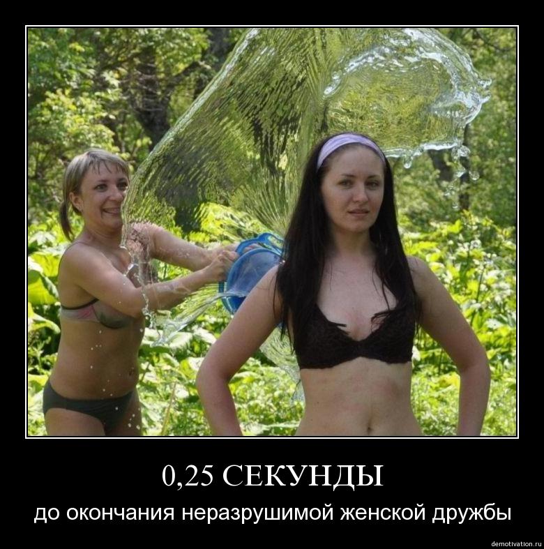 1277624849_0lfxn422qxii.jpg