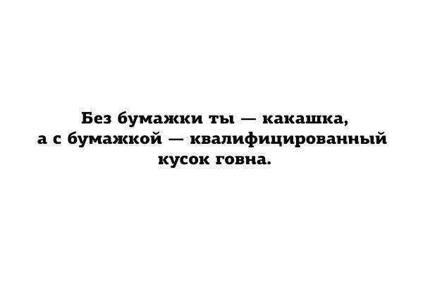 12817251.jpg