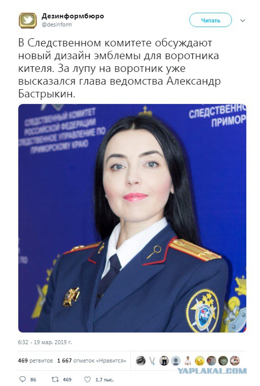 12845269.jpg