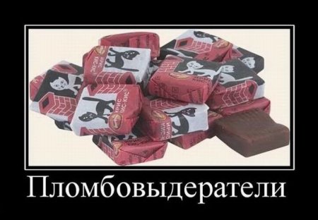 1288237992_1287584370_31.jpg