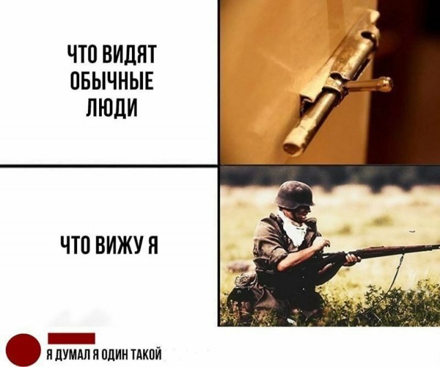 12883656.jpg