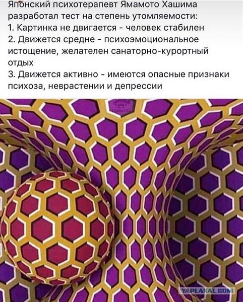 12966012.jpg