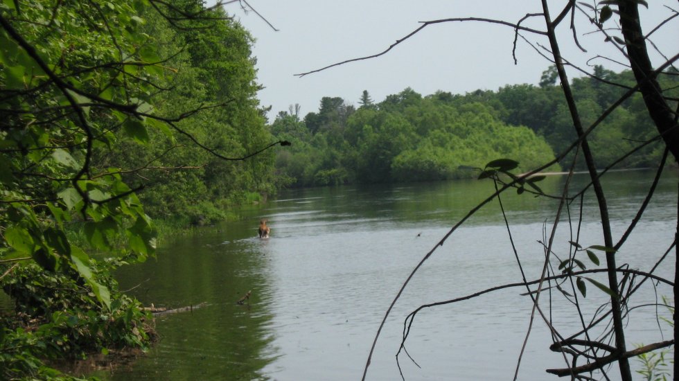 1297559_134708.jpg