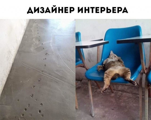 13017560.jpg