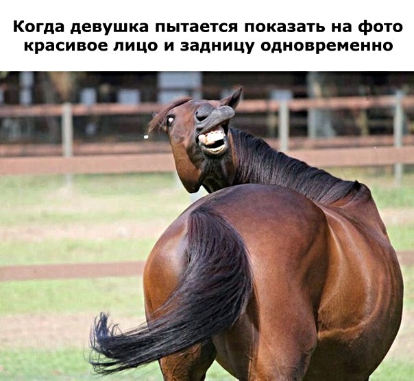 13031626.jpg
