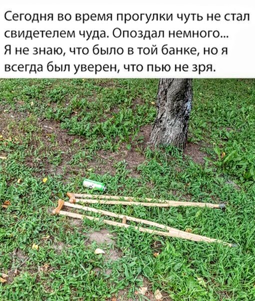 13037514.jpg