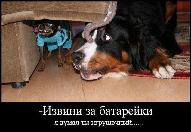 13078650.jpg