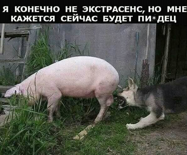 13087358.jpg