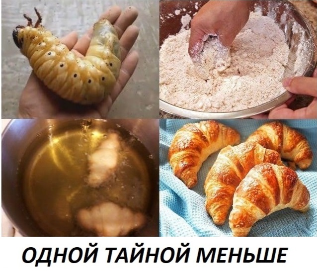 13089939.jpg