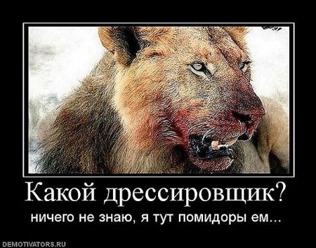 1309419532_x_66680f69.jpg