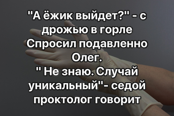 13109581.jpg