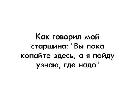 13109757.jpg
