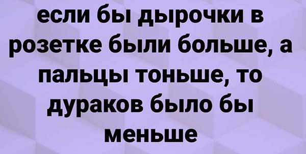 13113263.jpg