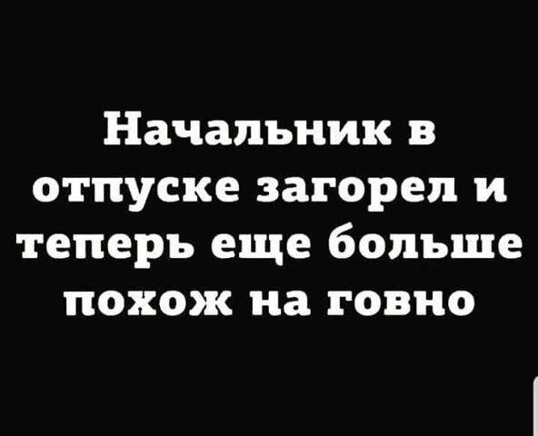 13184985.jpg