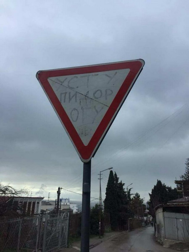 13185758.jpg